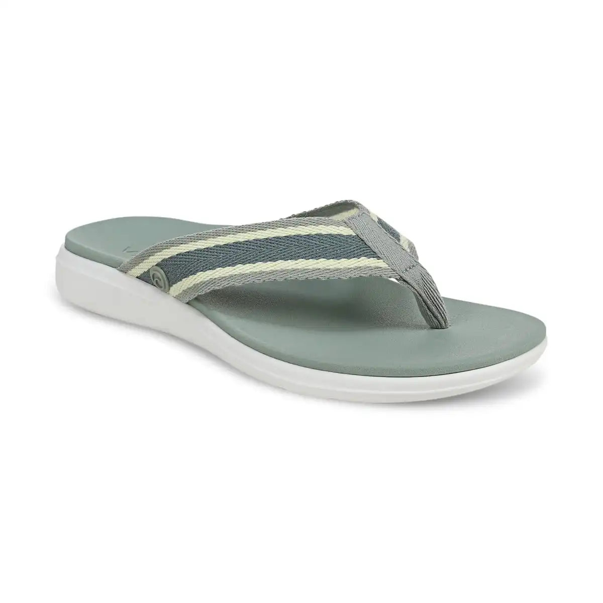 Beach Indigo Toe Post Sandal